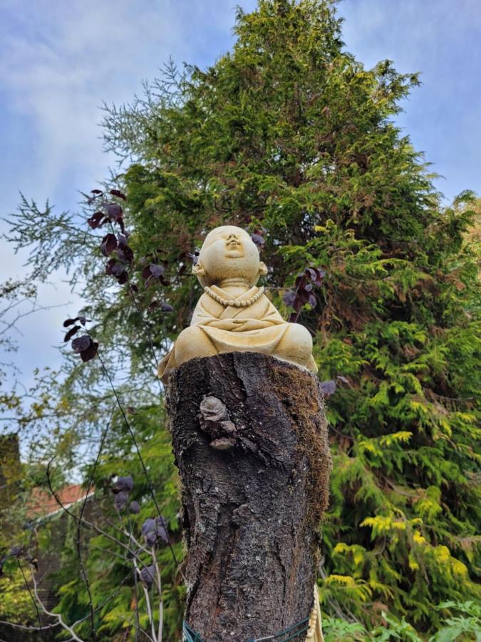 Le Relais De L'Aube Ξενοδοχείο Villers-Bretonneux Εξωτερικό φωτογραφία